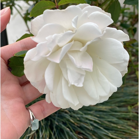 Meet your Posher, AMI - Picture 12 of 15